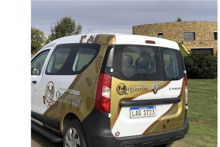 Colonia: Winery, Olive Oil & Gourmet Lunch Tour