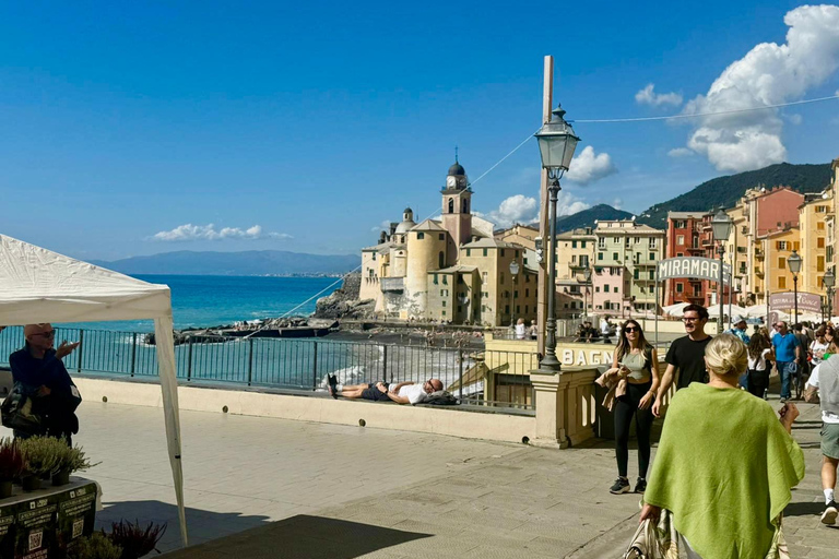 From Santa Margherita: Ebike Tour along the Italian Riviera Portofino: E bike Tour along the Italian Riviera