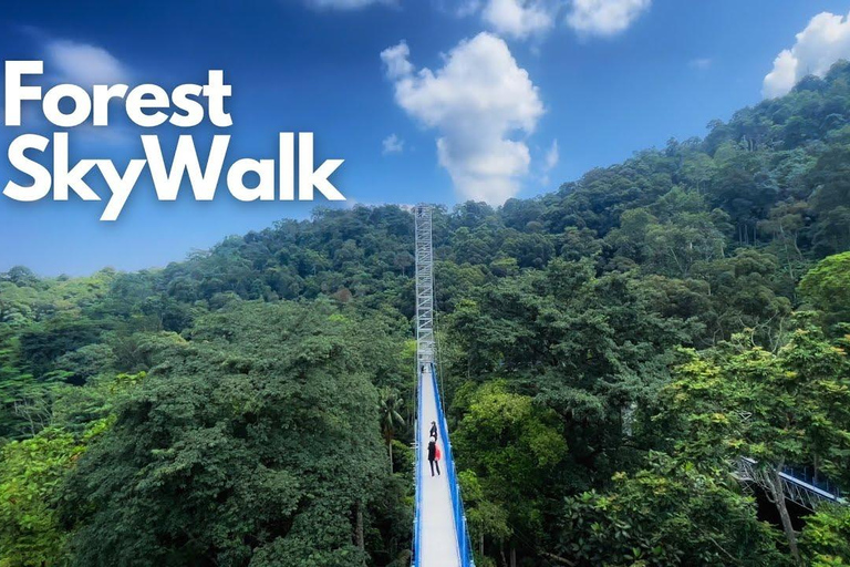Batu Caves Skywalk and Waterfalls Adventure