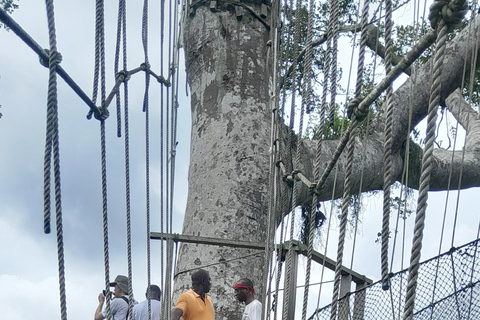 Assin Manso Slave River, Cape Coast Castle and Kakum Tour