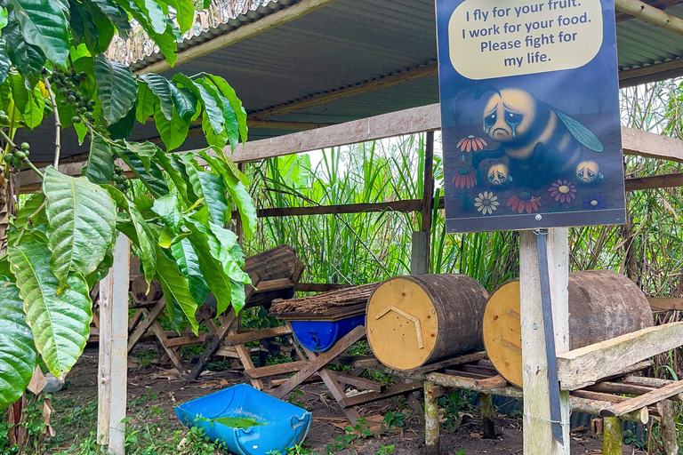 Zorobwe: Coffee Farm Tour with Cupping Session And Lunch