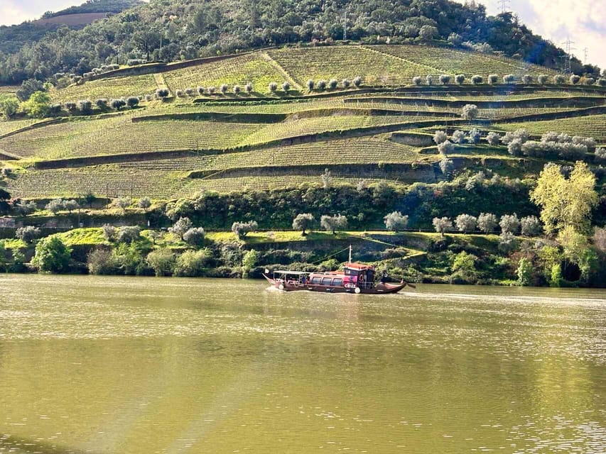 Douro Valley Private Tour Vineyards River Cruise Getyourguide