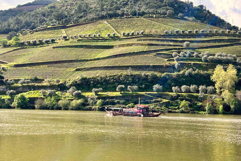 Porto : Vallée du Douro : visite de 2 vignobles avec déjeuner et croisière sur le fleuve