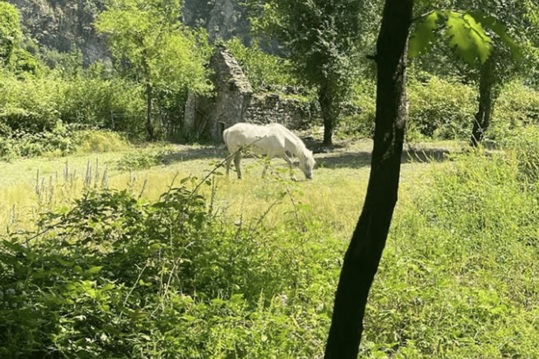 From Tirana: Komani Lake and Shala River Tour Speedboat Incl