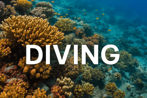 Da Nang/Hoi An: Cham Islands Snorkeling or Scuba Diving Diving in Cham Islands with an instructor