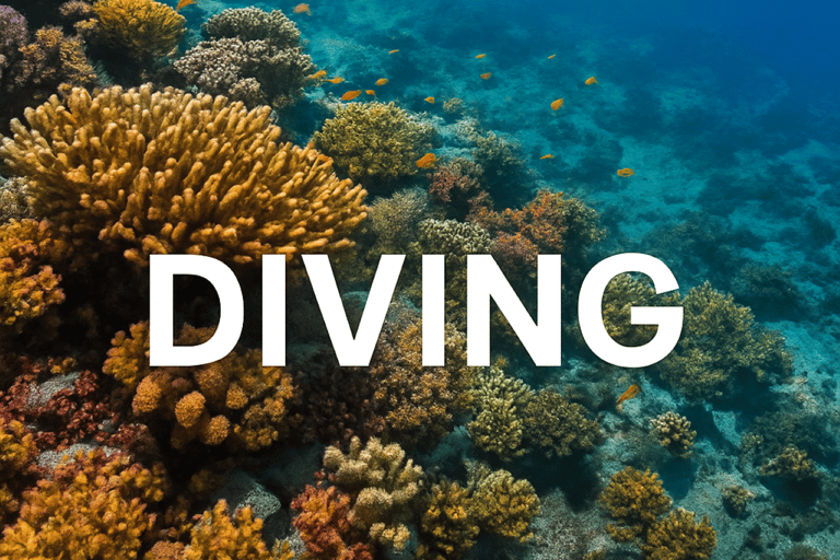 Da Nang/Hoi An: Cham Islands Snorkeling or Scuba Diving Diving in Cham Islands with an instructor