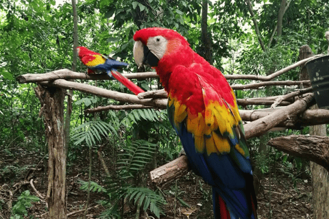 Zoological Park - Aluxes Palenque:Wildlife Conservation Tour