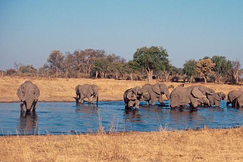 Botswana: Savuti, Khwai, & Moremi 7-Day Mobile Safari
