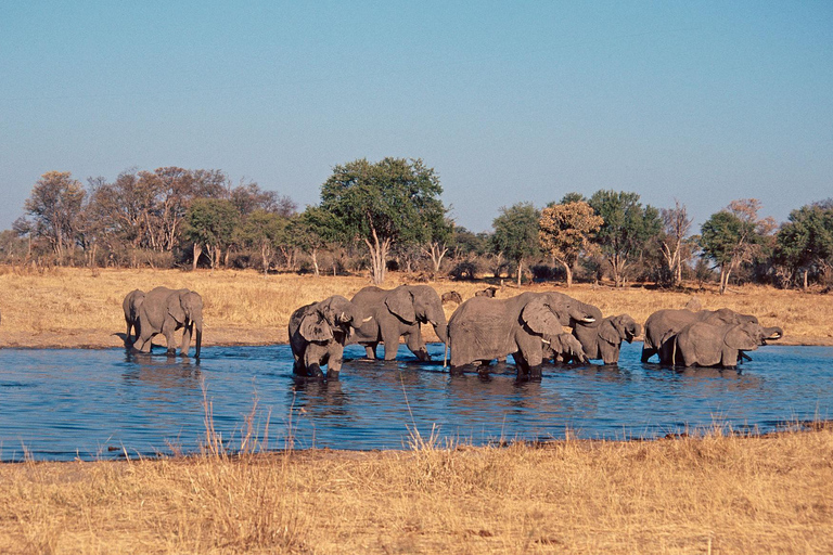Botswana: Savuti, Khwai, & Moremi 7-Day Mobile Safari