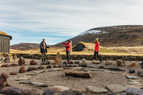 Reykjavik: tour del círculo plateado, baños del cañón y cascadas