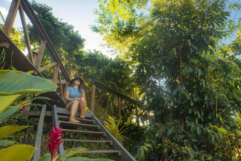 Tambopata Tour 2 days/1 night Sandoval Lake: nature and boat rides