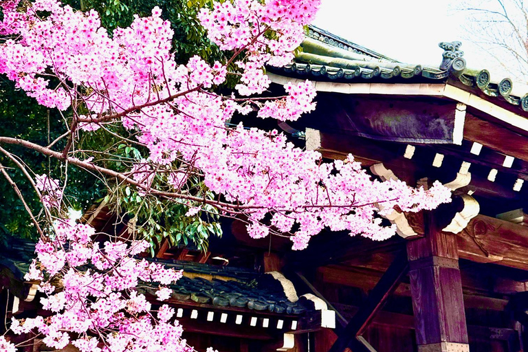 Kyoto: Vollständig anpassbare Halbtagestour durch die alte HauptstadtKyoto: Vollständig anpassbare Halbtagestour in der alten Hauptstadt