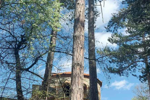 Small Group: Sofia to Kyustendil Fortress & Sequoia Park