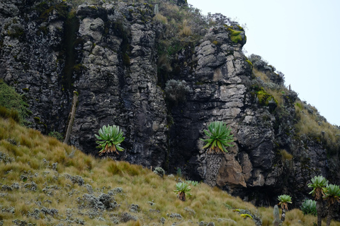 Aberdare National Park: Mount Satima Overnight Hike