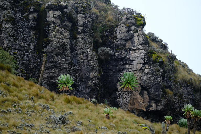 Aberdare National Park: Mount Satima Overnight Hike