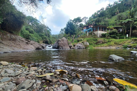 MEDELLIN : VISITE DES JARDINS + ANDES (VUE PANORAMIQUE) + ÉLEVAGE DE TRUITES