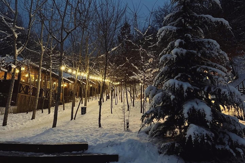 Baku: Quba and Shahdag Day Trip with Guide