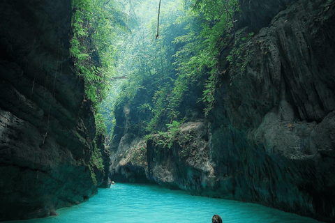 Kawasan Falls Canyoneering Transfer från Cebu med lunch