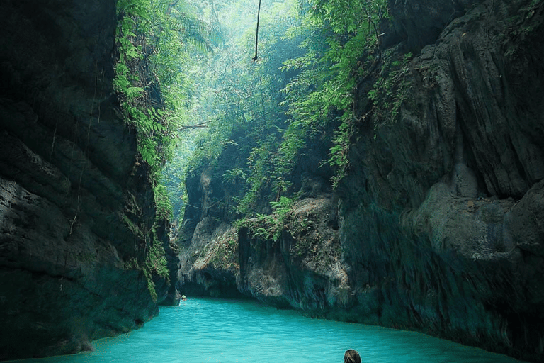 Cataratas de Kawasan Canyoneering Transferes de Cebu com almoço