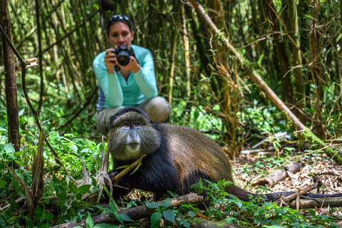 2 Day Golden Monkey Trekking and Dian Fossey Tomb Visit