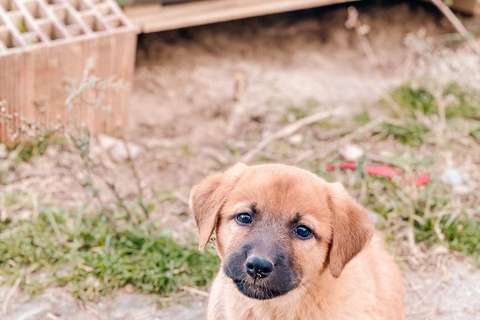 From Durres: Farmland, Vineyard &amp; Wine Tasting Tour