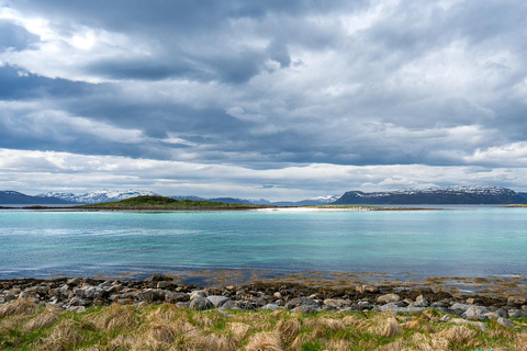 From Tromsø: Experience Vannøya Island Wild, Remote & Real