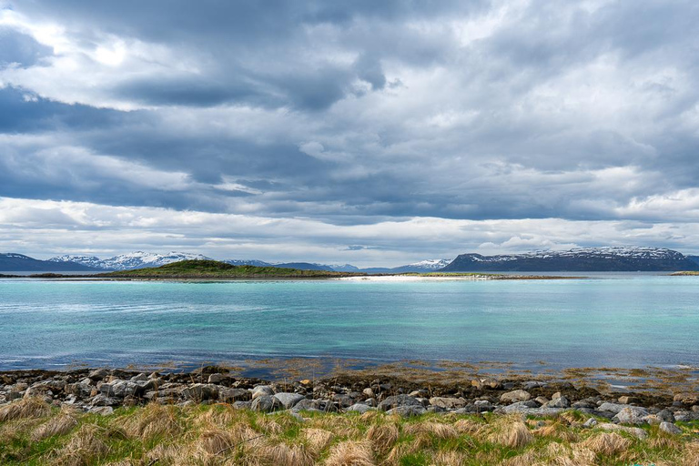From Tromsø: Experience Vannøya Island Wild, Remote & Real