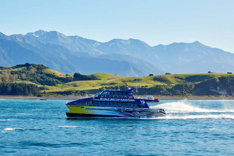 Pick up From Christchurch: Kaikoura Whale Watching Cruise