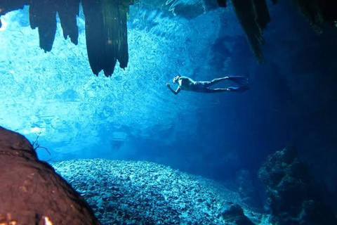 Uxmal och fantastiska cenotes guidad tur med lunch från Mérida