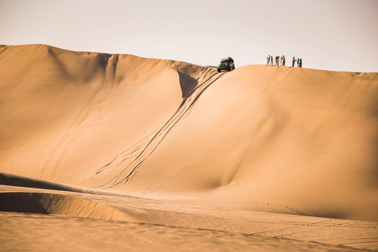 Au départ de Lima : visite d&#039;une jounée de Paracas et de l&#039;oasis de Huacachina