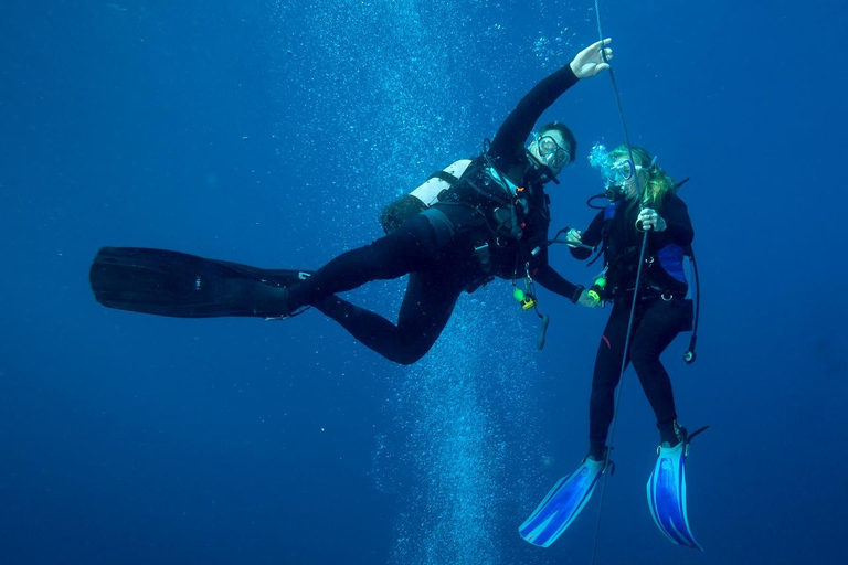 Hurghada: Scuba Diving for Certified Divers & Beginners Boat trip for the Certified Divers with Lunch & Transfer