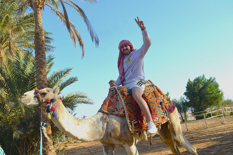 Makadi Bay: Quad Ride, Stargazing Workshop, Dinner & Show