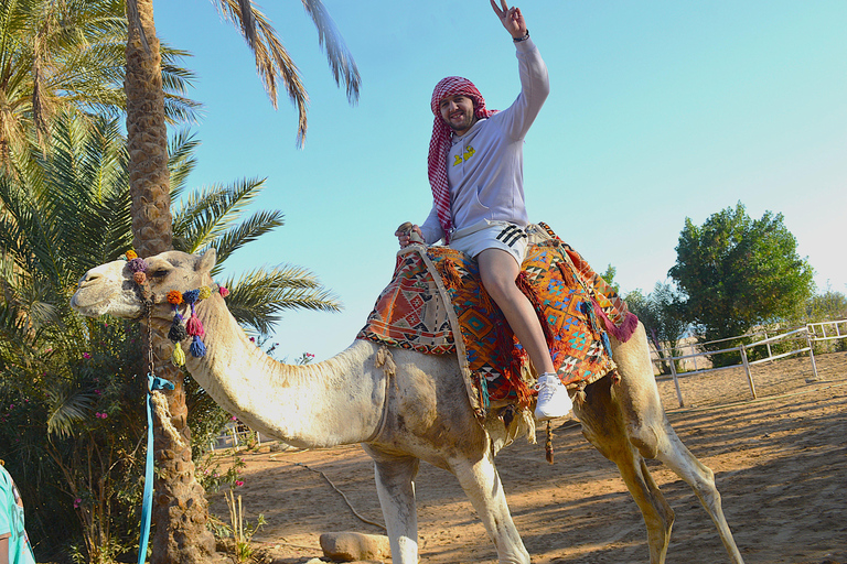 Makadi Bay: Quad Ride, Stargazing Workshop, Dinner & Show