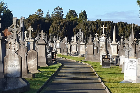 Dublin : Private Sightseeing Tour of Dublin City