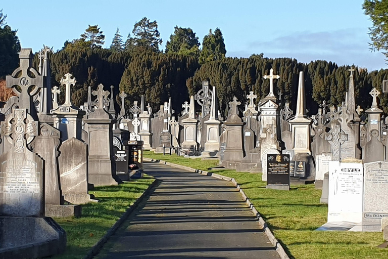 Dublin : Private Sightseeing Tour of Dublin City