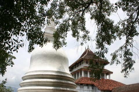 Kandy Heritage and Cultural Temple Tour