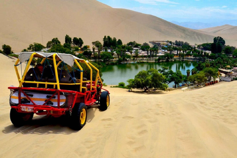 Desde Lima: Tour Día Completo (Paracas + Huacachina)