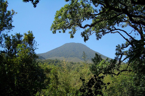 Uganda: 5-Day Gorilla Trekking and Wildlife Safari