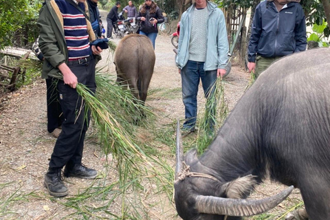 Hanoi: 2-dagars tur till Ninh Binh med boende i privathem och buss till Phong Nha