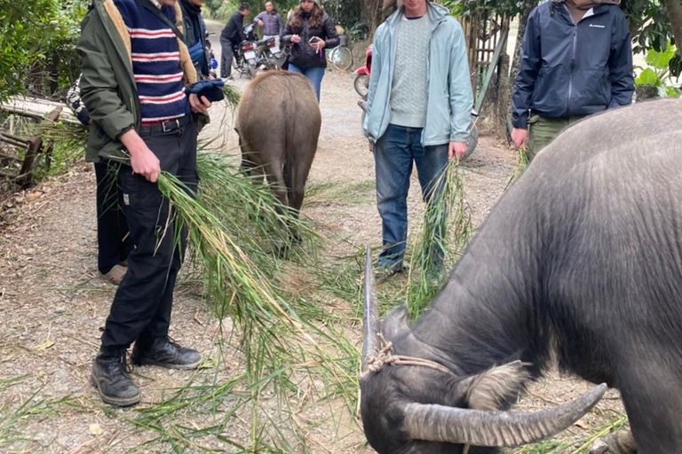 Hanoi: 2-dagars tur till Ninh Binh med boende i privathem och buss till Phong Nha
