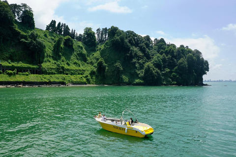 Mar Nero: Tour della spiaggia magnetica e del giardino botanico di Batumi