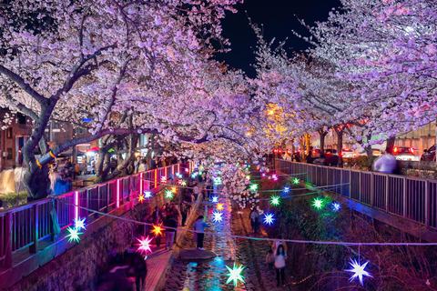 Von Busan: Jinhae Cherry Blossom Festival Tag oder Nacht TourNächtliche Jinhae Tour, Treffen am Busan Bahnhof