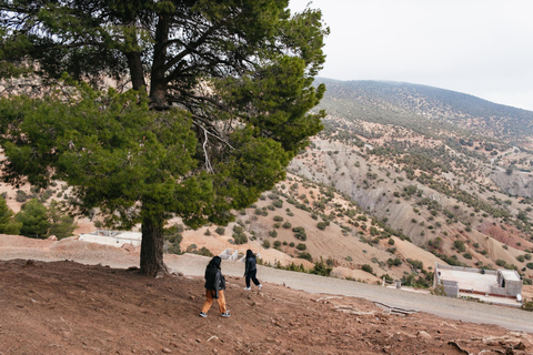 Marrakech : visite guidée de l'Atlas et des 5 valléesMontagnes de l'Atlas et 5 vallées - Visite privée