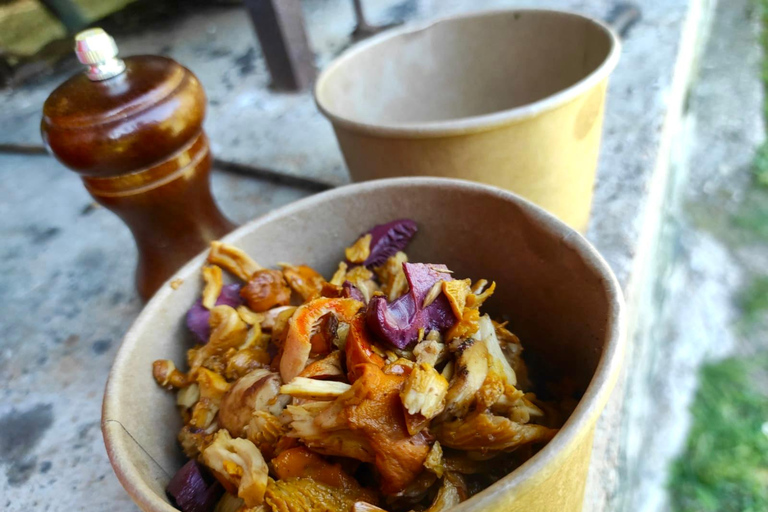 Sofia: Culinary Adventure To The Fungi And Botanical Kingdom