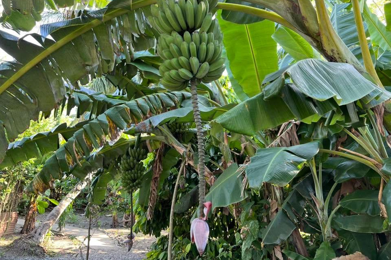 Puerto Plata: Countryside Tour with Butterfly Farm Visit