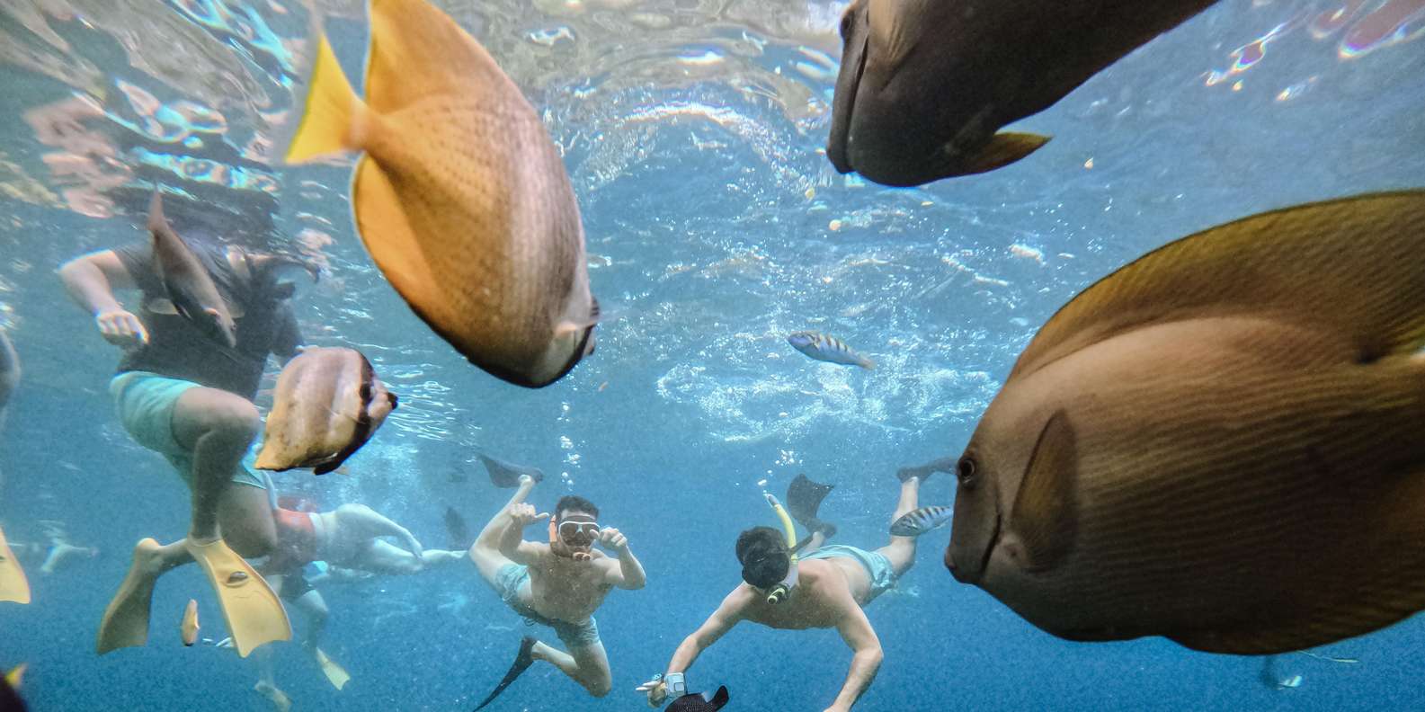 Bali: Premium Yacht Nusa Penida Manta Snorkeling & Land Tour — gallery image 23