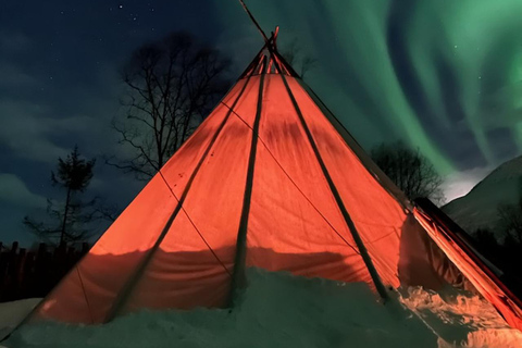Tromsø: Northern Lights, Reindeer Feeding, Sami Camp, Museum