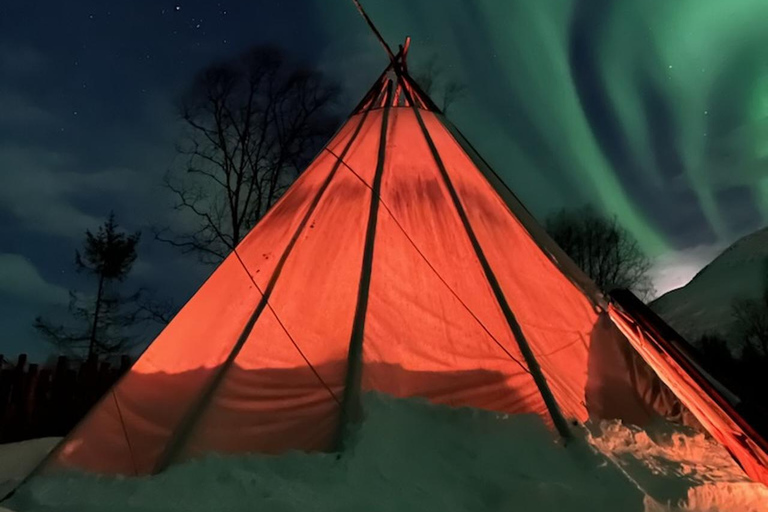 Tromsø: Northern Lights, Reindeer Feeding, Sami Camp, Museum