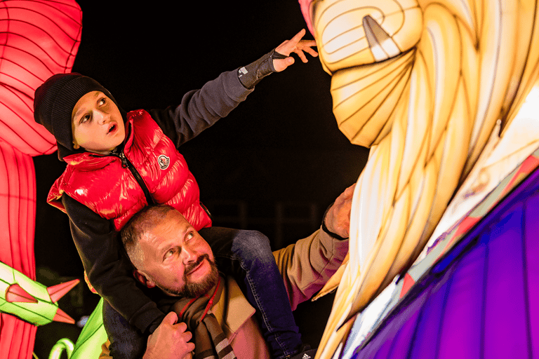 Warsaw: Garden of Lights Entry Ticket Warsaw: Garden of Lights Entry Ticket - Weekends