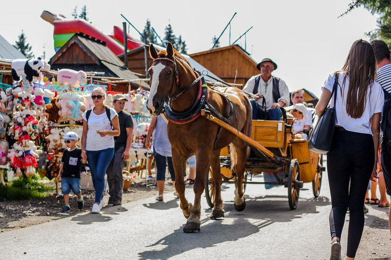 Cracovie : Visite de Zakopane avec les funiculaires de Krupowki et de GubalowkaCracovie : Zakopane et les Monts Tatras - Circuit régulier